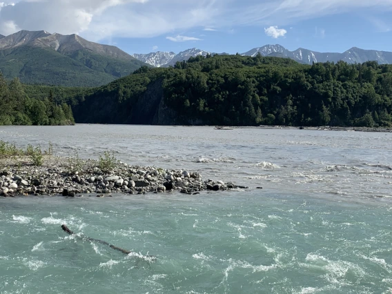 Indigenous Peoples and the Environment