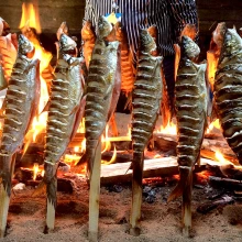 Indigenous Foods Knowledges